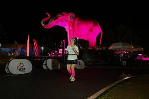 BIB: 
                            <button type="button" onclick="openModal(26543055)" class="btn btn-primary btn-sm float-right btn-popup" data-toggle="modal" data-target=".modal-high-quality">
                        <i class="fas fa-shopping-cart"></i> Add to Cart
                    </button>
                                            <button type="button" onclick="isThisMe(26543055, true)" class="btn btn-success btn-sm float-right btn-popup btn-isme hidden" data-toggle="tooltip" data-placement="bottom" title="นี่คือรูปของคุณใช่ไหม คลิกที่นี่เพื่อเอาเข้าอัลบั้ม">
                        <i class="fas fa-plus"></i> Add to album
                    </button>
                    <button type="button" onclick="isThisMe(26543055, false)" class="btn btn-warning btn-sm float-right btn-popup btn-isnotme hidden">
                        <i class="fas fa-ban"></i> Remove from album
                    </button>